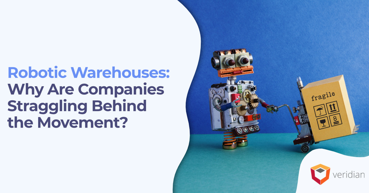 Robotic Warehouses