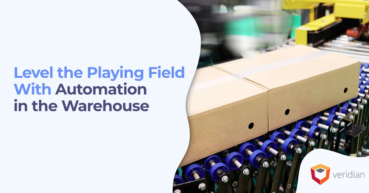 automation in the warehouse
